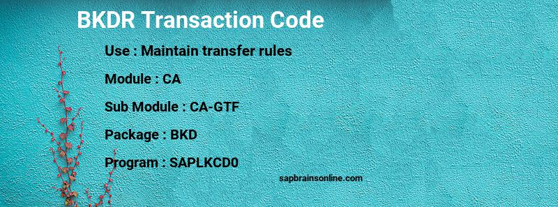 SAP BKDR transaction code