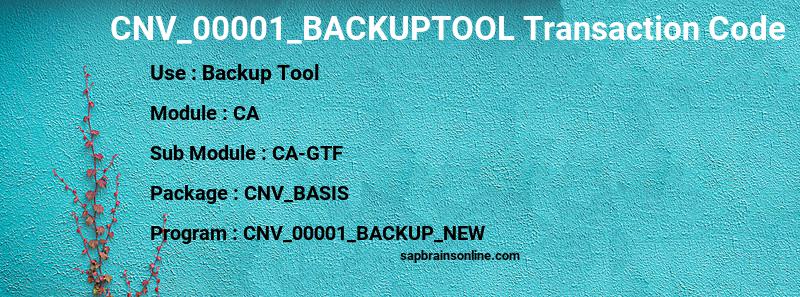 SAP CNV_00001_BACKUPTOOL transaction code