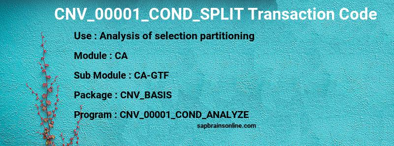 SAP CNV_00001_COND_SPLIT transaction code