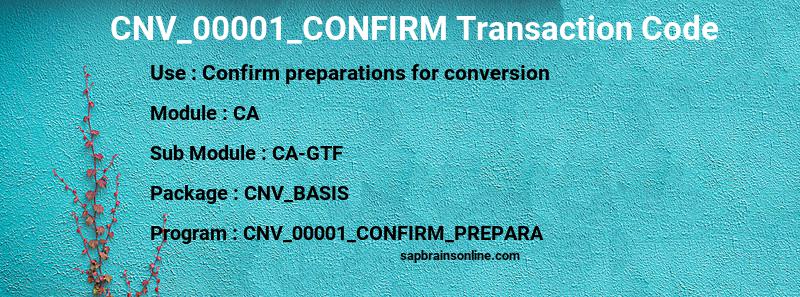 SAP CNV_00001_CONFIRM transaction code