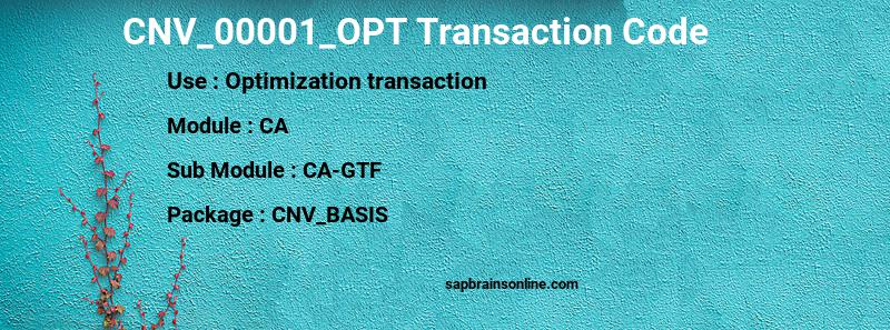 SAP CNV_00001_OPT transaction code