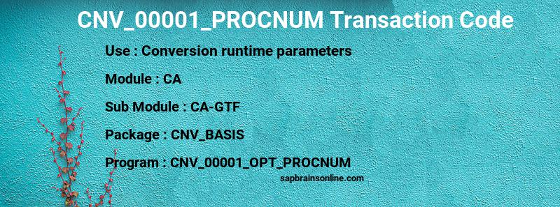 SAP CNV_00001_PROCNUM transaction code