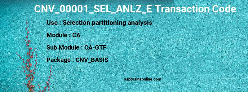 SAP CNV_00001_SEL_ANLZ_E transaction code