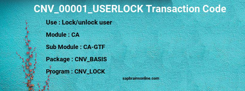 SAP CNV_00001_USERLOCK transaction code