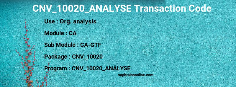 SAP CNV_10020_ANALYSE transaction code