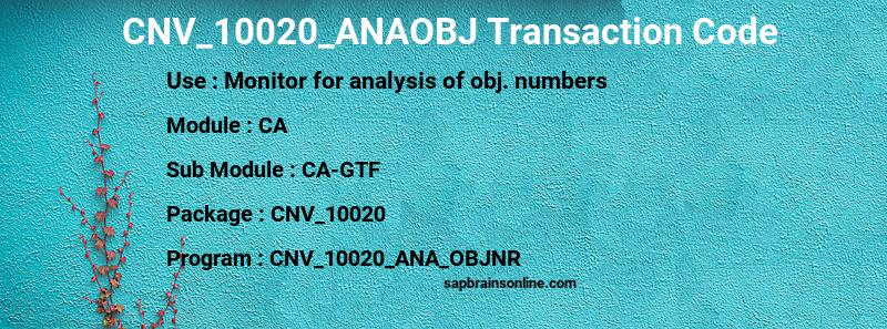 SAP CNV_10020_ANAOBJ transaction code