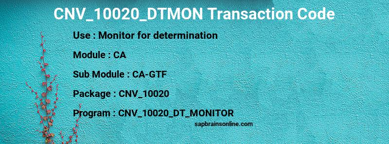 SAP CNV_10020_DTMON transaction code