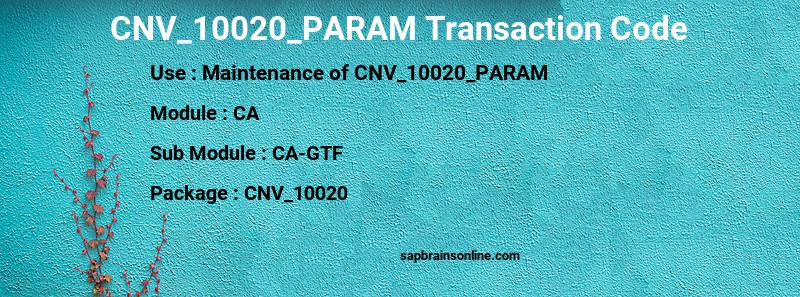 SAP CNV_10020_PARAM transaction code