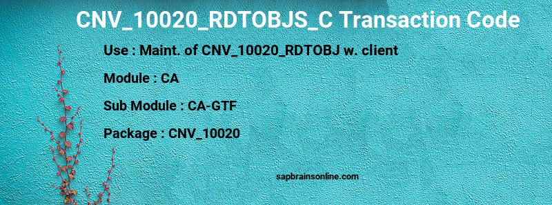 SAP CNV_10020_RDTOBJS_C transaction code