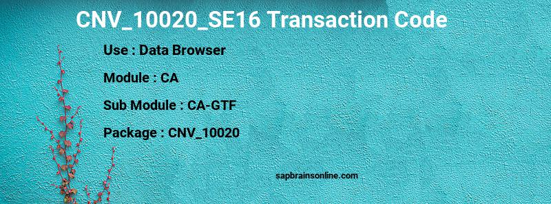 SAP CNV_10020_SE16 transaction code