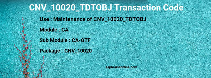 SAP CNV_10020_TDTOBJ transaction code