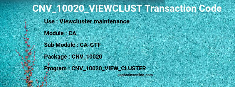 SAP CNV_10020_VIEWCLUST transaction code