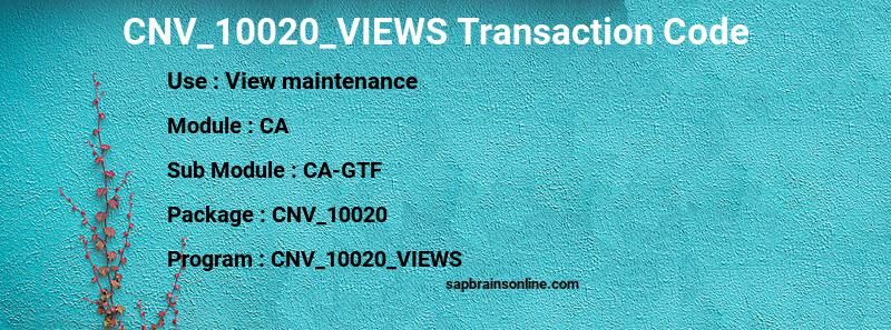 SAP CNV_10020_VIEWS transaction code