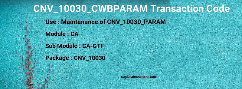 SAP CNV_10030_CWBPARAM transaction code