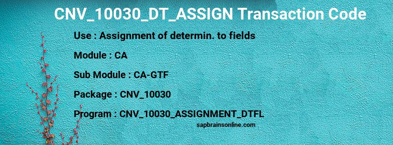 SAP CNV_10030_DT_ASSIGN transaction code