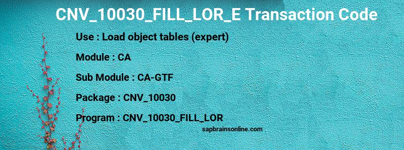 SAP CNV_10030_FILL_LOR_E transaction code