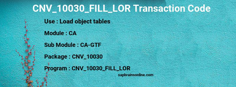 SAP CNV_10030_FILL_LOR transaction code