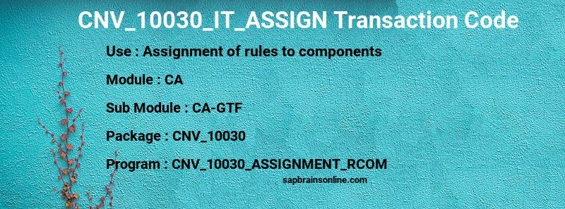 SAP CNV_10030_IT_ASSIGN transaction code