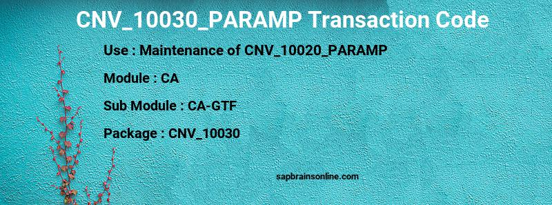 SAP CNV_10030_PARAMP transaction code
