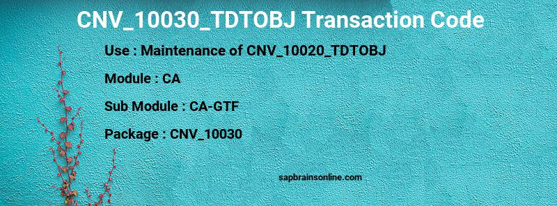 SAP CNV_10030_TDTOBJ transaction code