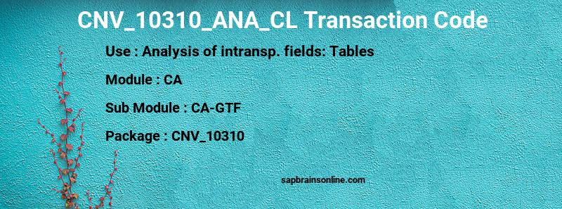 SAP CNV_10310_ANA_CL transaction code