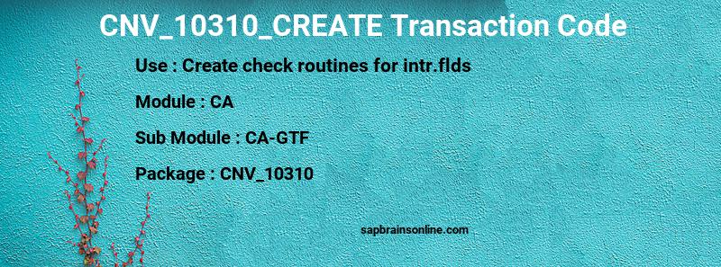 SAP CNV_10310_CREATE transaction code