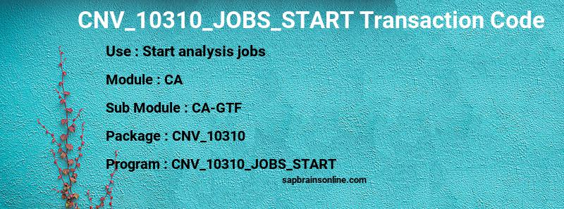 SAP CNV_10310_JOBS_START transaction code