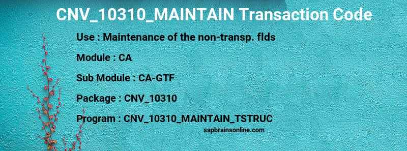 SAP CNV_10310_MAINTAIN transaction code