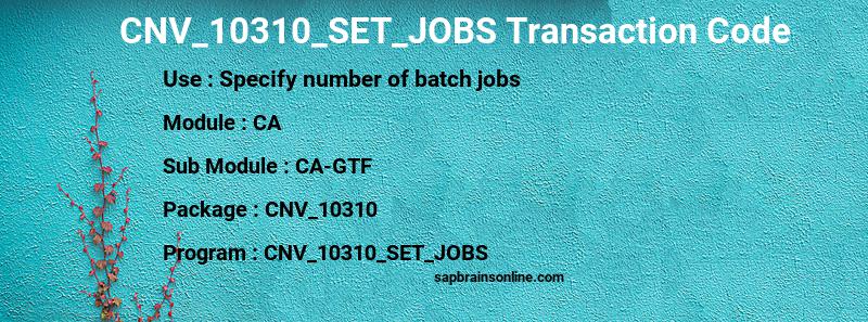 SAP CNV_10310_SET_JOBS transaction code