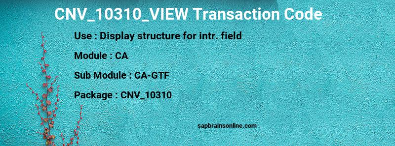 SAP CNV_10310_VIEW transaction code