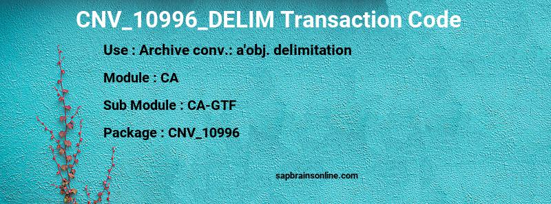 SAP CNV_10996_DELIM transaction code