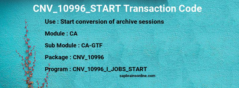 SAP CNV_10996_START transaction code