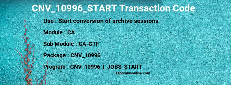 SAP CNV_10996_START transaction code