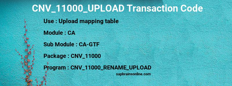 SAP CNV_11000_UPLOAD transaction code