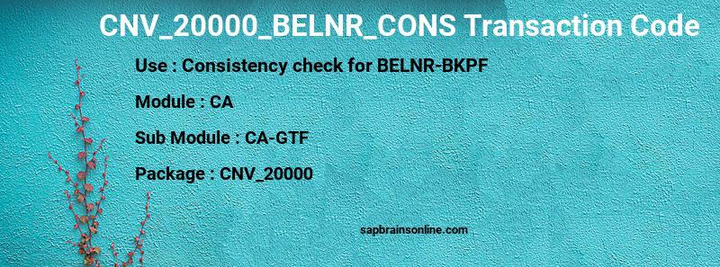 SAP CNV_20000_BELNR_CONS transaction code