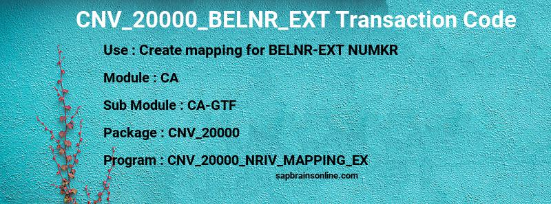 SAP CNV_20000_BELNR_EXT transaction code