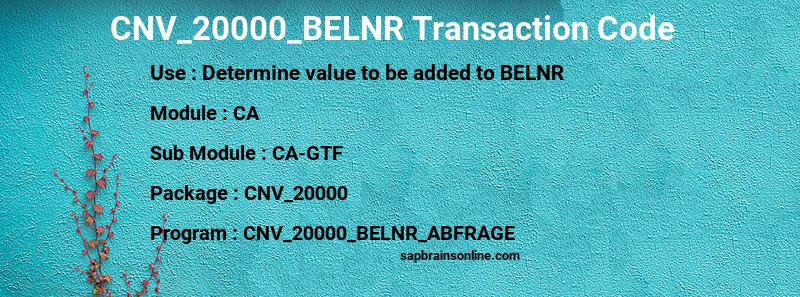 SAP CNV_20000_BELNR transaction code