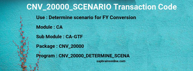 SAP CNV_20000_SCENARIO transaction code