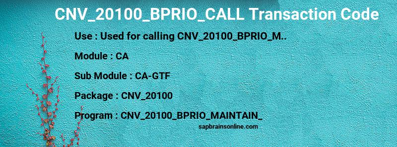 SAP CNV_20100_BPRIO_CALL transaction code