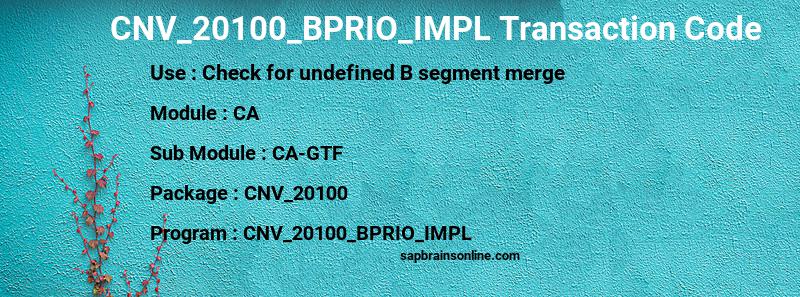 SAP CNV_20100_BPRIO_IMPL transaction code