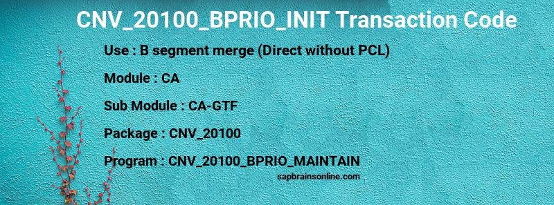 SAP CNV_20100_BPRIO_INIT transaction code