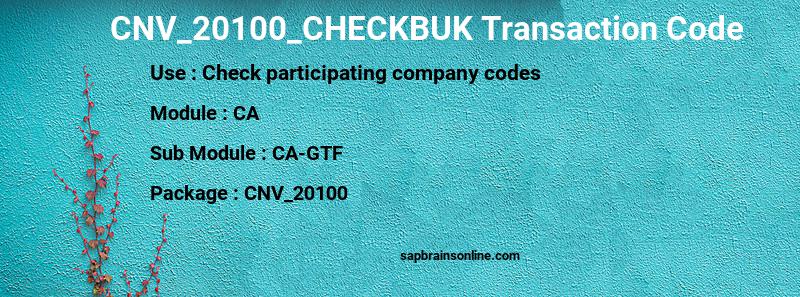 SAP CNV_20100_CHECKBUK transaction code