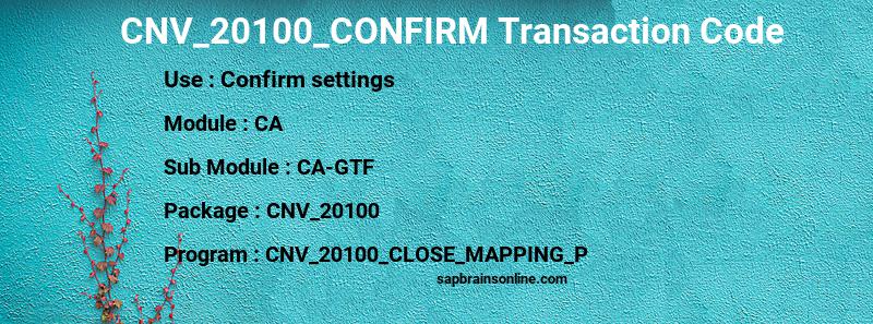 SAP CNV_20100_CONFIRM transaction code