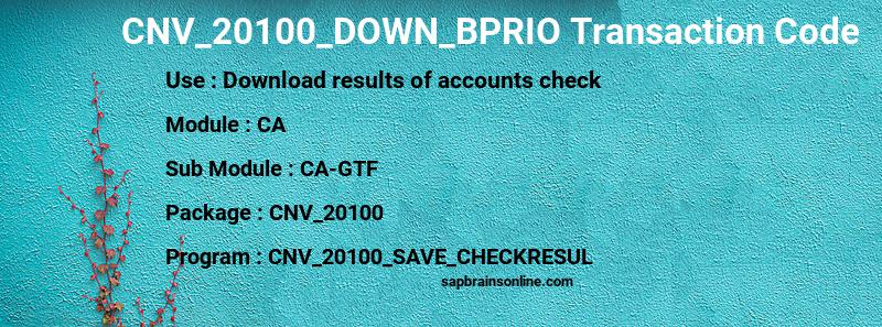 SAP CNV_20100_DOWN_BPRIO transaction code