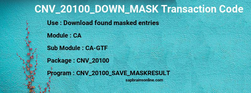SAP CNV_20100_DOWN_MASK transaction code