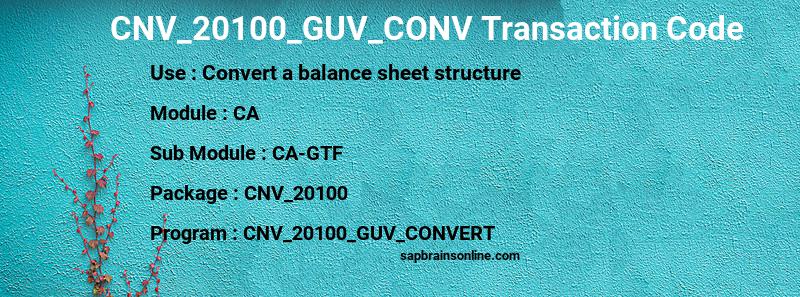SAP CNV_20100_GUV_CONV transaction code