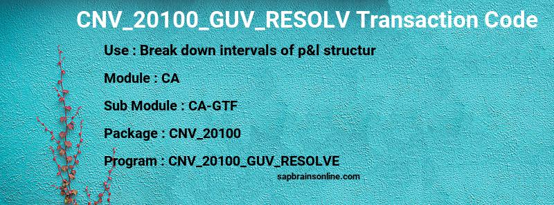 SAP CNV_20100_GUV_RESOLV transaction code