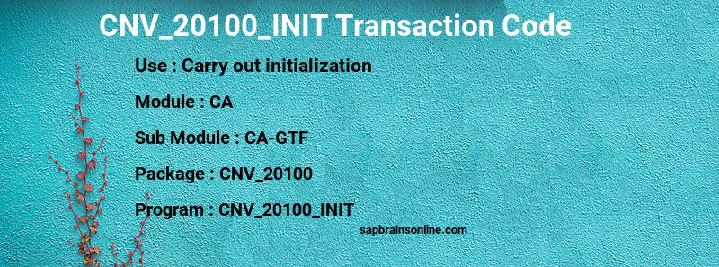SAP CNV_20100_INIT transaction code