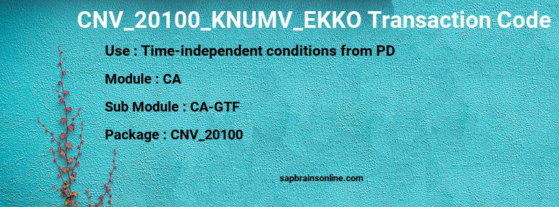 SAP CNV_20100_KNUMV_EKKO transaction code