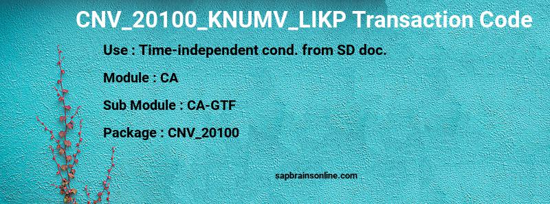 SAP CNV_20100_KNUMV_LIKP transaction code